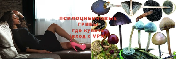 амф Алексеевка