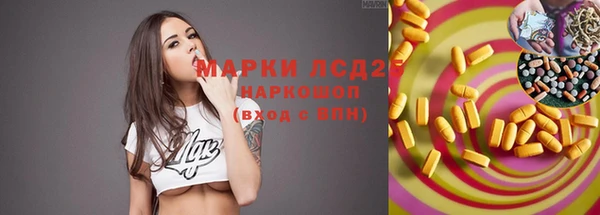 гидра Алзамай