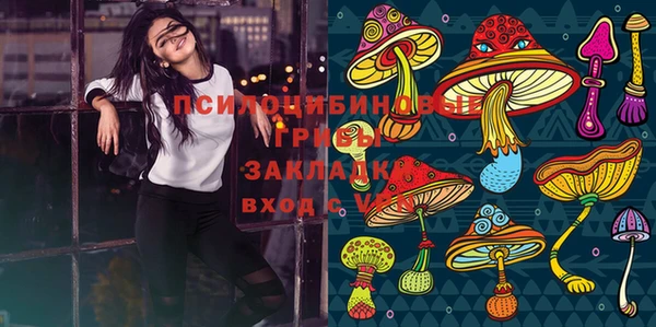 бошки Алексин