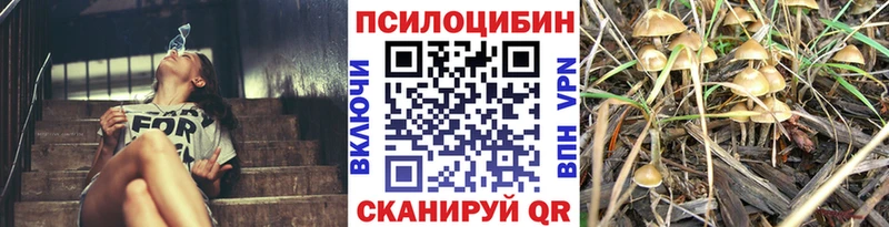 Галлюциногенные грибы прущие грибы  гидра маркетплейс  Мышкин  как найти закладки 